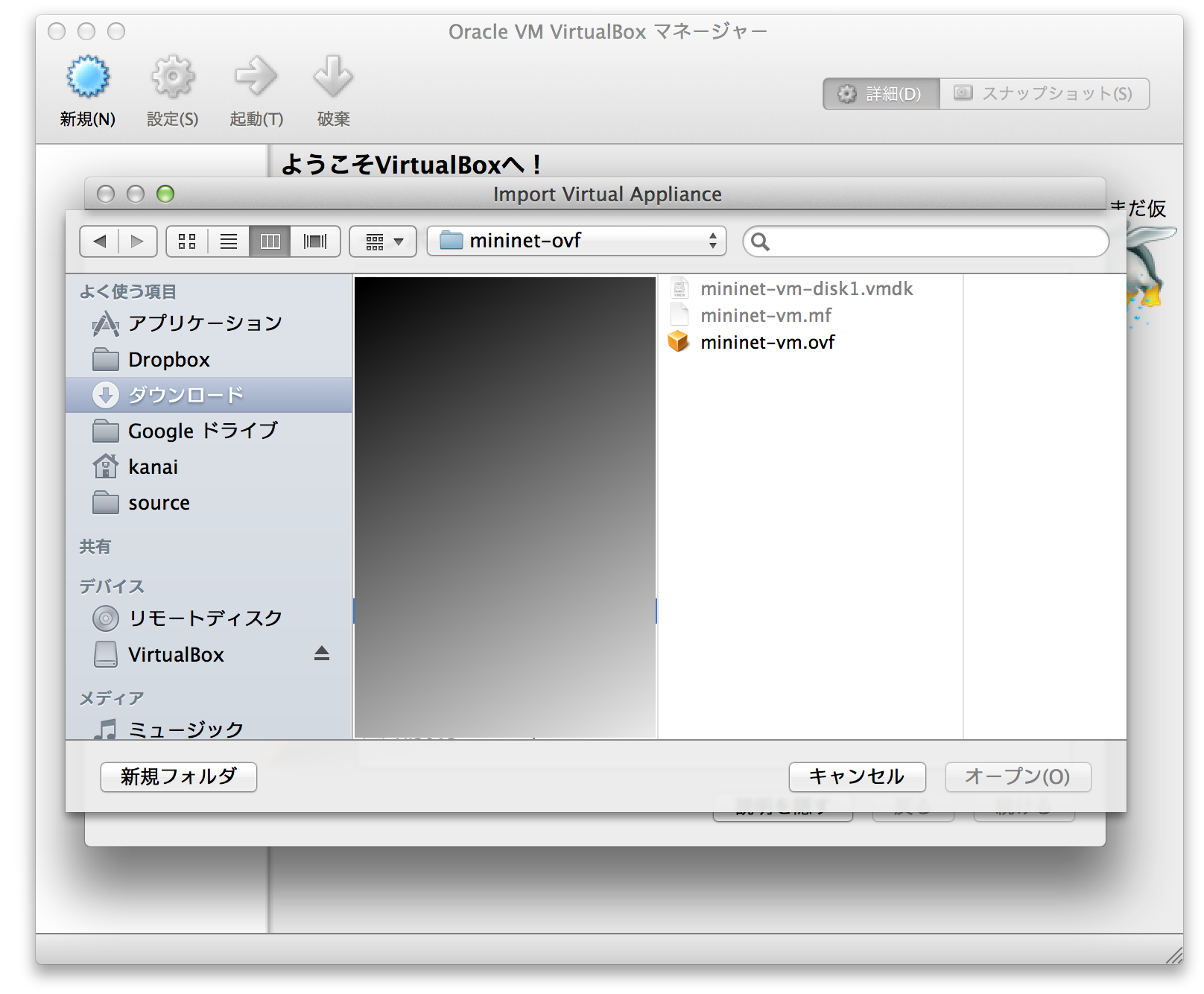 ../_images/of_vm_file.png